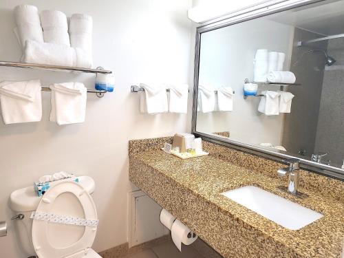 La salle de bains est pourvue de toilettes, d'un lavabo et d'un miroir. dans l'établissement Ocean Resort, à Virginia Beach