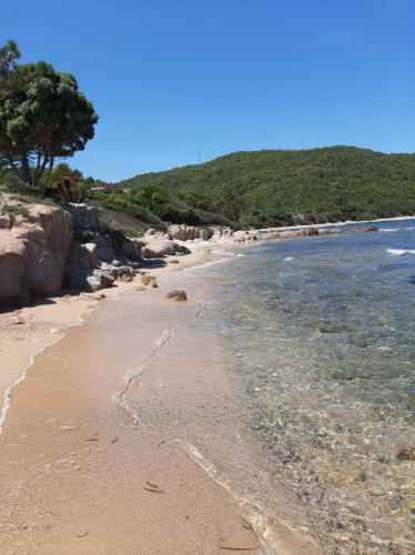 een zandstrand met water en een boom op de achtergrond bij Mini Villa à 100m de la mer avec prise de recharge élec privative in Sari Solenzara