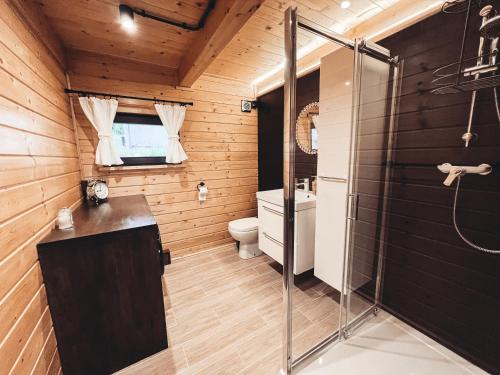 a bathroom with a shower and a toilet and a sink at Slope House (Domek na Skarpie) Lipowa in Lipowa
