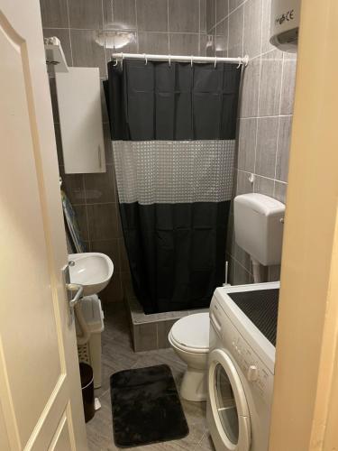 a bathroom with a shower and a toilet and a washing machine at Studio Apartment for rent in Budva in Budva