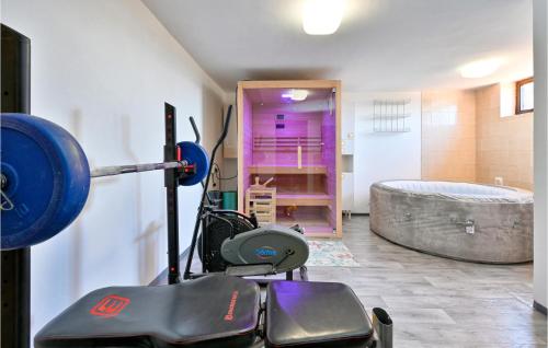 Posilňovňa alebo fitness centrum v ubytovaní Lovely Home In Kneginec With Sauna