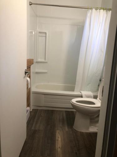 a bathroom with a toilet and a bath tub at Greenside Motel in Saint Andrews