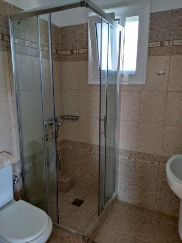 Gallery image of Anesis Village Studios and Apartments in Lygia