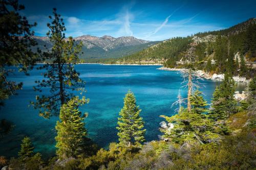 オリンピックバレーにあるResort at Squaw Creekの手前に樹木が植えられた湖の景色