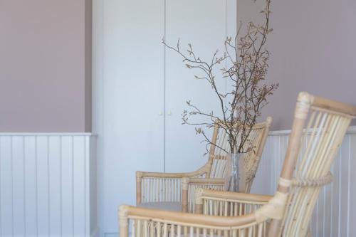 two rocking chairs and a vase with a plant at Melsted Badehotel in Gudhjem