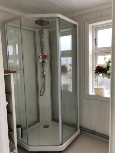 a shower stall in a bathroom with a window at Småbruket stall solheim in Rødby