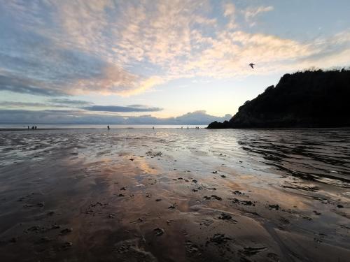 una playa con un pájaro volando sobre el agua en Caswell Beach Chalet 70 located in Gower Peninsula en Swansea