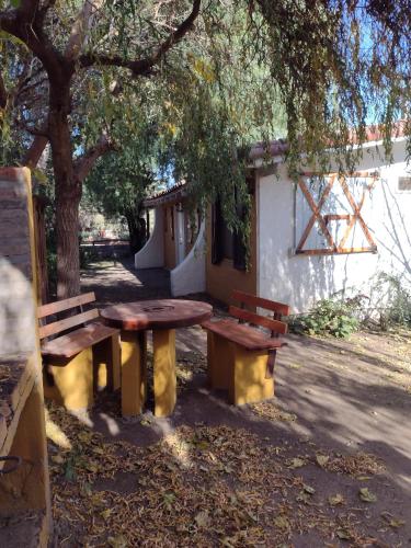 a picnic table and two benches under a tree at Cabañas Esferas de Cristal in Capilla del Monte