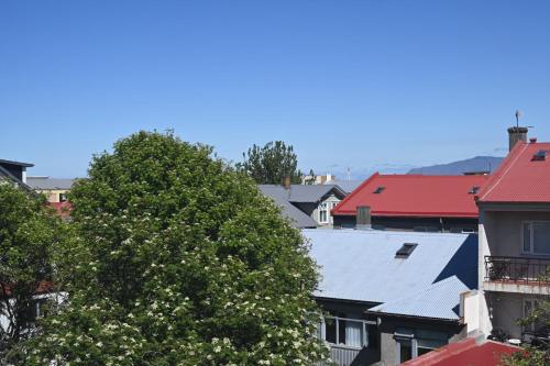 a view of roofs of houses and a tree at Hotel Local 101 in Reykjavík