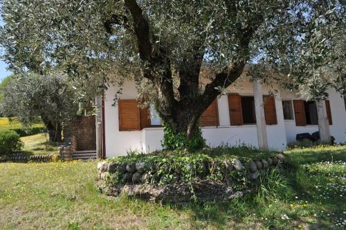 Foto LA CASA TRA GLI OLIVI 1