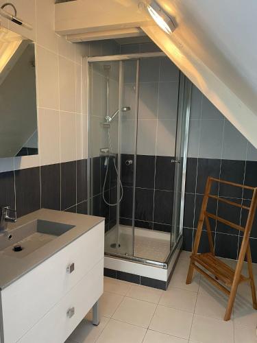 une salle de bain avec une douche avec un lavabo et un miroir dans l'établissement Les Oiseaux de Passage, à Gignac