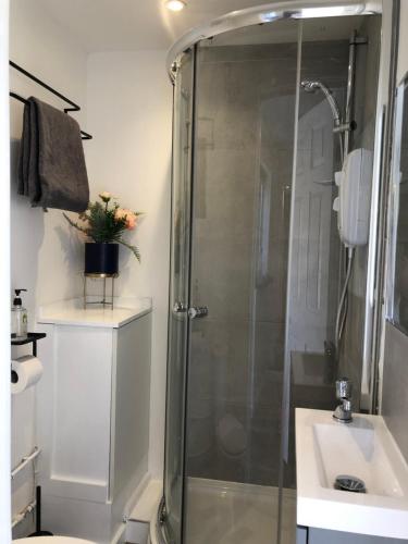 a bathroom with a shower and a sink at Lovely Modern decorated 1 bed Studio in Newport