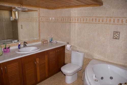 a bathroom with a toilet and a sink and a tub at Villa Erofili Plakias south Rethimno Crete in Asómatoi