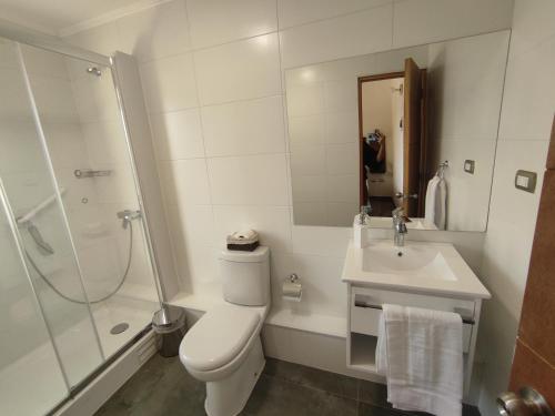 a bathroom with a toilet and a shower and a sink at Hotel Le Petit in Concepción