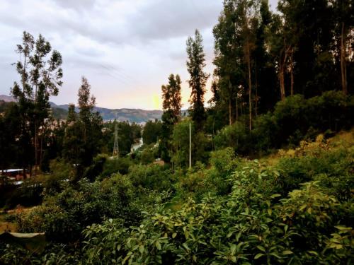 a view from a hill with trees and bushes at Fundo San Silvestre in Huaraz