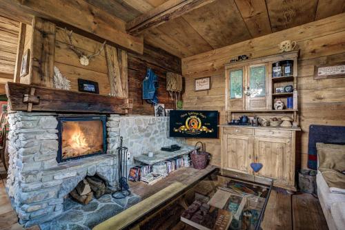 a living room with a stone fireplace in a cabin at Chalet Bonheur in La Tzoumaz