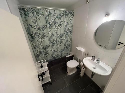 een badkamer met een wastafel, een toilet en een spiegel bij Vidaoro Studio Flat in Zell am See