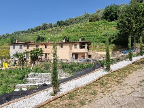 Attractive apartment in Pietrasanta with private garden