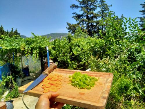 Fotografie z fotogalerie ubytování TOKGÖZ HOTEL RESTAURANT v destinaci Ulupinar