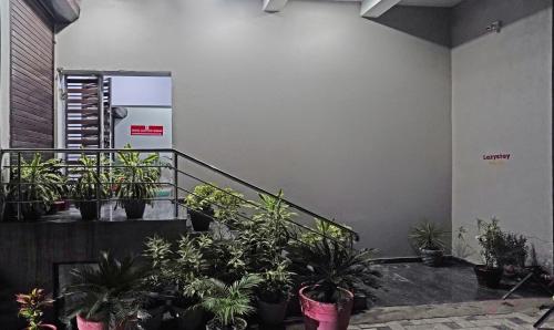 a group of potted plants sitting on a staircase at Treebo Lazystay Grand Patia in Bhubaneshwar