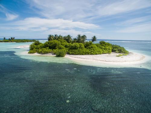 an island in the ocean with trees and water at Fiyala Homestay in Feydhoo