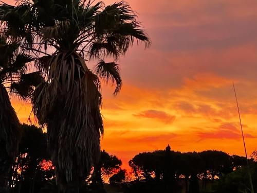 Η ανατολή ή δύση του ηλίου όπως φαίνεται από αυτό το διαμέρισμα ή από εκεί κοντά