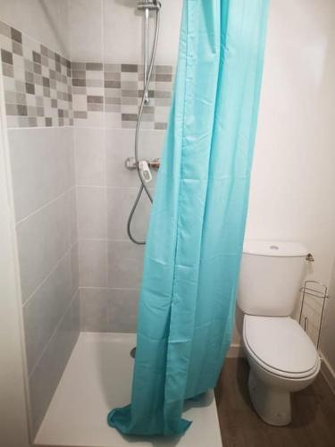 La salle de bains est pourvue d'un rideau de douche bleu à côté des toilettes. dans l'établissement Le Cyprès, à Saint-Mitre-les-Remparts