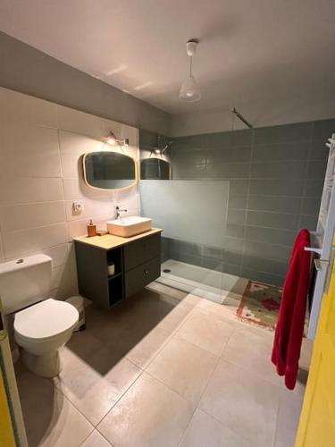 une salle de bain avec toilettes et lavabo dans l'établissement Grande chambre chez l'artiste-peintre, à La Réole