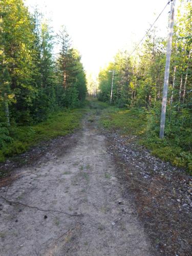 a dirt road in the middle of a forest at The Old Post Office in Hedenäset