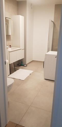 een witte badkamer met een wastafel en een toilet bij Gezellig appartement Beveren-Waas Donkvijver in Beveren
