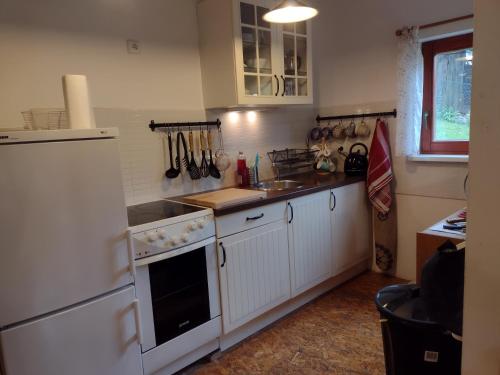 uma cozinha com um lavatório e um fogão forno superior em Chata Dvírka em Železný Brod