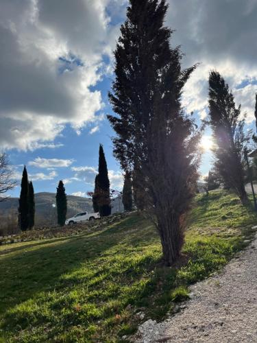 a tree on the side of a field with the sun at Borgo Incantato Spoleto in Pompagnano
