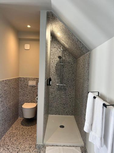 a bathroom with a shower and a toilet at Le Petit Château in Baye