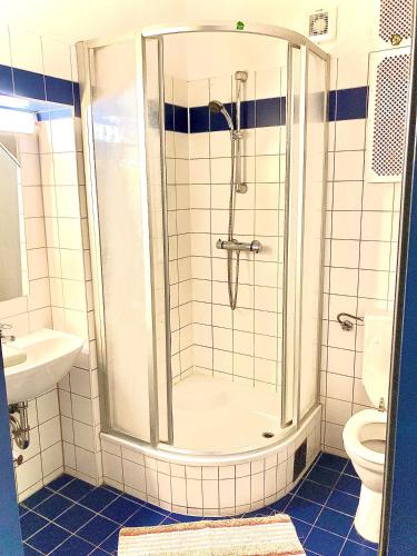 a bathroom with a shower and a toilet at Apartment Liesingbach in Vienna