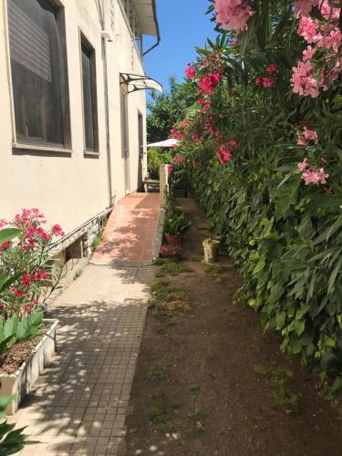 a garden with pink flowers next to a building at Casetta dei fiori in Livorno