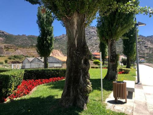 Fotografie z fotogalerie ubytování Apartamentos Carballo Ézaro v destinaci Dumbría