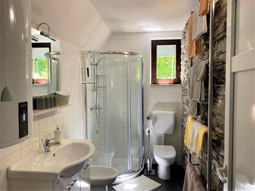 a bathroom with a shower and a sink and a toilet at Kuća Homer in Mala Lešnica