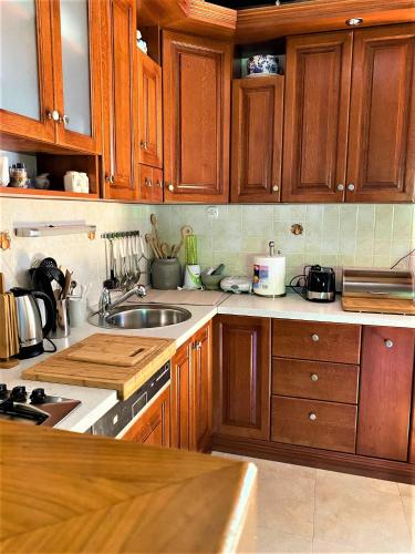 a kitchen with wooden cabinets and a sink at Kuća Homer in Mala Lešnica