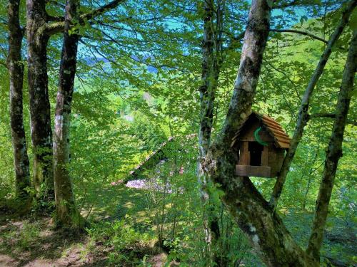 a bird house on a tree in the woods at Kuća Homer in Mala Lešnica