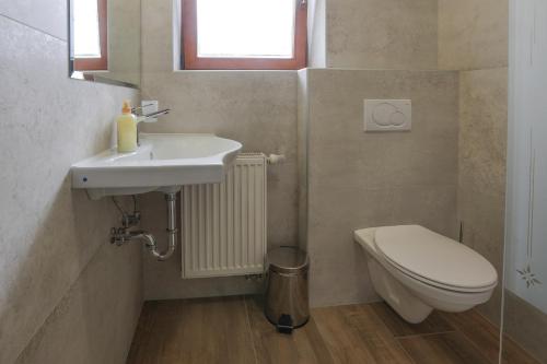 a bathroom with a sink and a toilet and a window at Tourist farm Mulej in Bled
