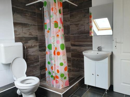 een badkamer met een toilet en een wastafel bij Casa Erika in Sebeş