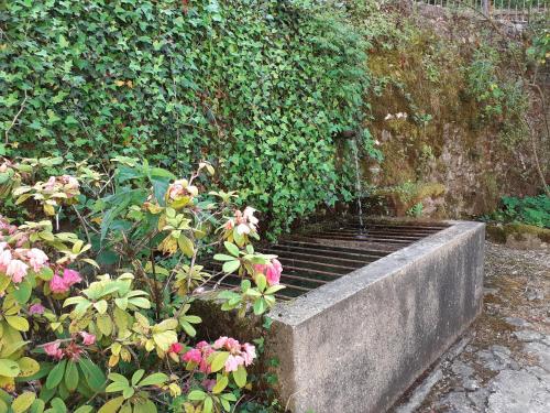 un jardinificialificialificialificialificialificialificialificialificialificialificialificialificialificialificialificialificial dans l'établissement Moulin Chantepierre, à Pont-dʼHéry
