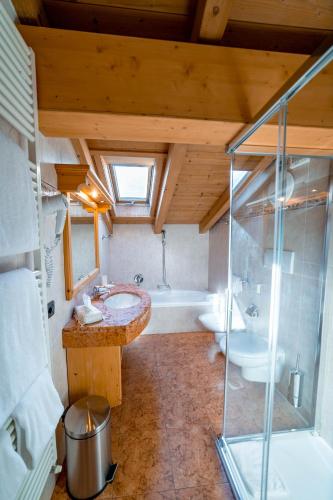 a bathroom with a shower and a sink and a tub at Alpi & Golf Hotel in Bormio