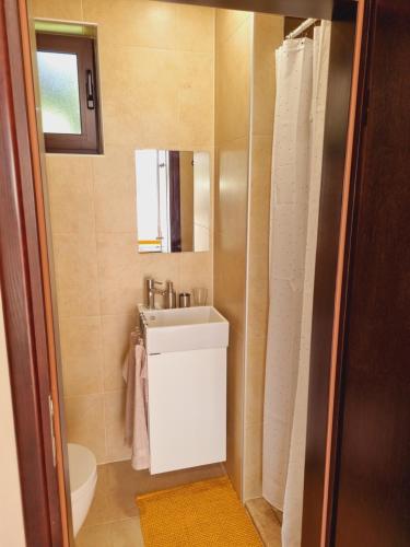 a bathroom with a sink and a toilet and a mirror at Studio apartment Gemelli in Poreč