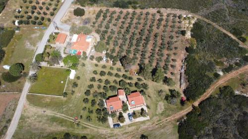 an aerial view of a house with vines at Pounta Apartments in Vingláfia