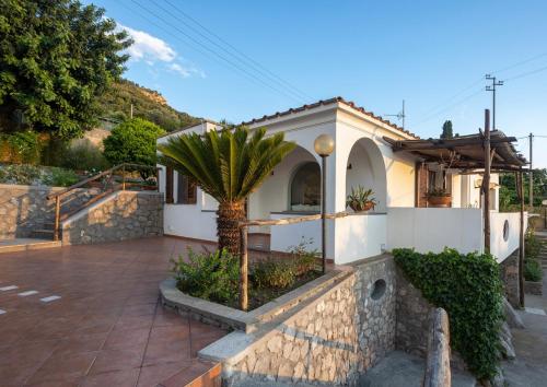 a house with a palm tree in the front of it at Villa Aurora Pool & Fitness in Anacapri