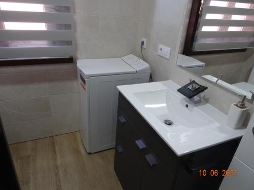 een badkamer met een wastafel en een kleine koelkast bij Apartamentos Casa Manolo in Pontevedra
