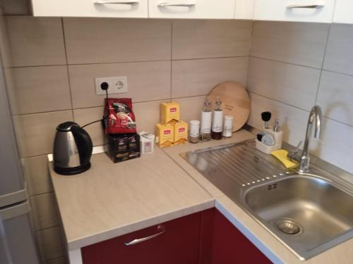 Dapur atau dapur kecil di Apartment Lazarus Banja Luka