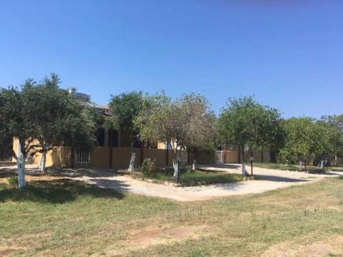 a building with trees in front of a field at Pounta Apartments in Vingláfia