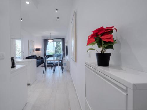 a white kitchen with a red flower on a counter at Royal Montesun Apartments in Budva